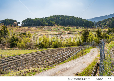 Terraced rice fields in Ogi, Otsu City, Shiga Prefecture 138840266