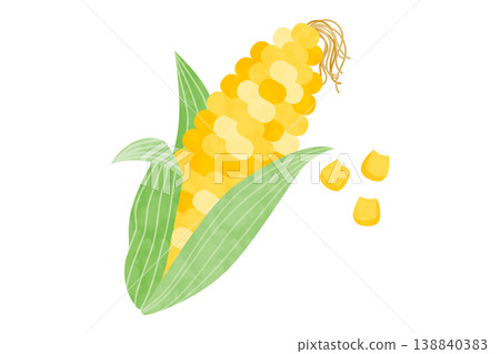 Hand-drawn style vector illustration of corn Hand-drawn style vector illustration of corn 138840383
