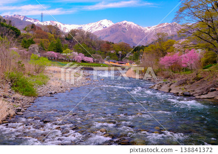 The Tone River, the Tanigawa mountain range, and cherry blossoms The Tone River, the Tanigawa mountain range, and cherry blossoms 138841372
