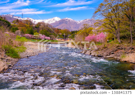 風景如畫，河流潺潺，櫻花盛開，雪山巍峨。 138841375