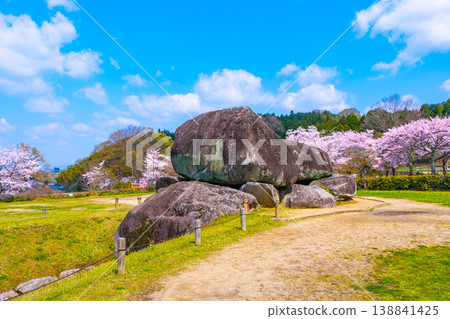 The megaliths and cherry blossoms of Ishibutai Kofun 138841425