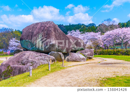 The megaliths and cherry blossoms of Ishibutai Kofun 138841426