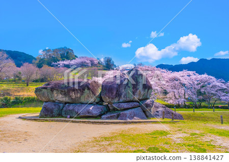 The megaliths and cherry blossoms of Ishibutai Kofun 138841427