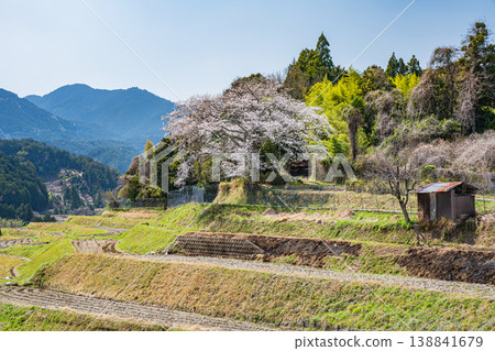 Terraced rice fields in Ogi, Otsu City, Shiga Prefecture Terraced rice fields in Ogi, Otsu City, Shiga Prefecture 138841679