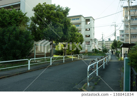 位於東京都江東區辰巳的辰巳住宅區是個破舊的住宅區。 138841834