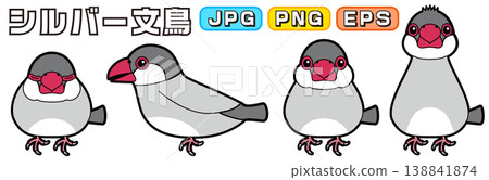Vector illustrations of a silver finch (side view, front view, sleeping, alert/interested) Vector illustrations of a silver finch (side view, front view, sleeping, alert/interested) 138841874