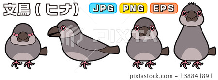 Vector illustrations of baby Java sparrows (side view, front view, sleeping, alert/interested) Vector illustrations of baby Java sparrows (side view, front view, sleeping, alert/interested) 138841891