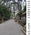 Stone lanterns lining both sides of the approach to the shrine, and towering trees. Stone lanterns lining both sides of the approach to the shrine, and towering trees. 138841918