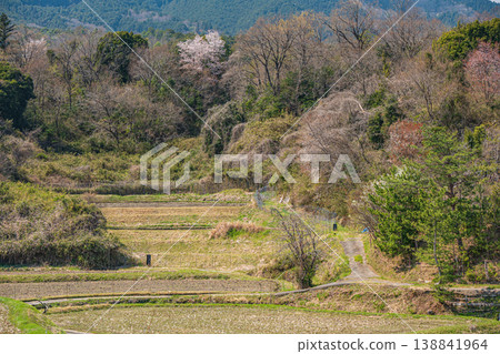 Terraced rice fields in Ogi, Otsu City, Shiga Prefecture Terraced rice fields in Ogi, Otsu City, Shiga Prefecture 138841964