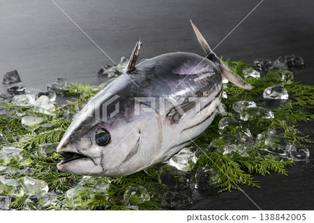 One bonito One bonito 138842005