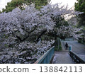 櫻花的風景 138842113