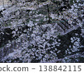 櫻花的風景 138842115
