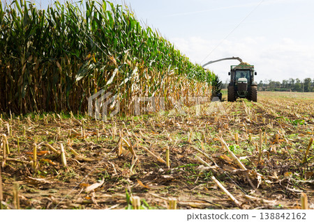 Agricultural machinery produces harvesting of maize Agricultural machinery produces harvesting of maize 138842162