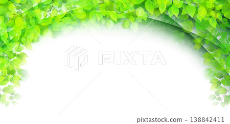 清新的拱形背景，點綴著綠葉。 138842411