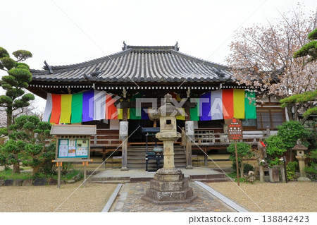 帶俵寺和盛開的櫻花。 帶俵寺和盛開的櫻花。 138842423