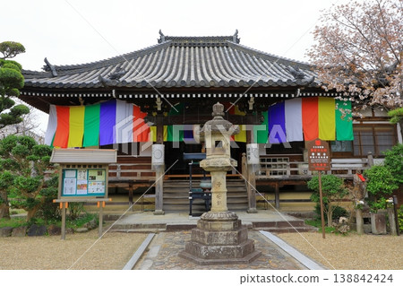 帶俵寺和盛開的櫻花。 帶俵寺和盛開的櫻花。 138842424