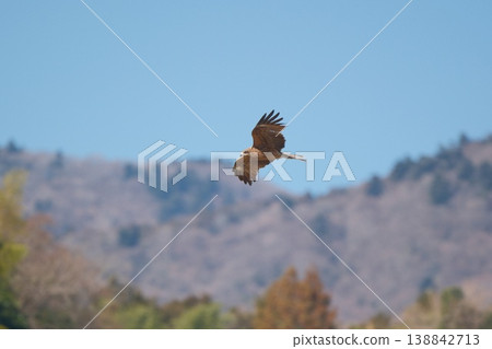 A kite flying against a backdrop of distant mountains. A kite flying against a backdrop of distant mountains. 138842713