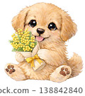 [International Women's Day] Illustration of a golden retriever holding a bouquet of mimosa flowers 138842840