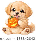 [Halloween] Illustration of a golden retriever holding a jack-o'-lantern 138842842