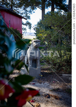 The guardian lion-dogs at Nangū Shrine in spring, with cherry blossoms blooming against a blue sky (Tagajo City) 138842983