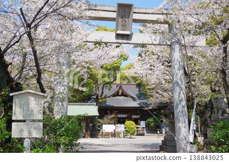 Wakamiya Hachiman Shrine surrounded by cherry blossoms Wakamiya Hachiman Shrine surrounded by cherry blossoms 138843025