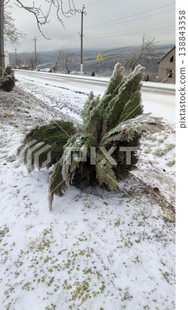 Vegetation covered in ice spills onto roadway beneath clouded sky 138843358