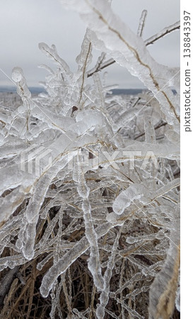 Capturing complex patterns and transparent spikes in frozen sculpture 138843397