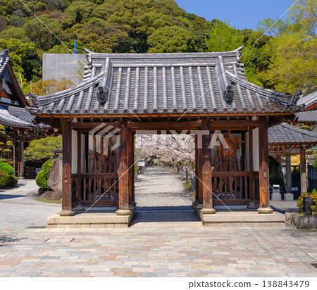 櫻花盛開的神戶須磨寺正門 138843479