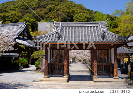 櫻花盛開的神戶須磨寺正門 138843480