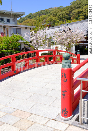 櫻花盛開的神戶須磨寺龍香橋 櫻花盛開的神戶須磨寺龍香橋 138843482