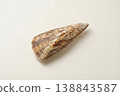 Raw Pen Shell Isolated on Clean Neutral Background 138843587