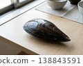 Single Wet Pen Shell on Wooden Table Near Window Light 138843591
