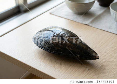 Single Wet Pen Shell on Wooden Table Near Window Light 138843591