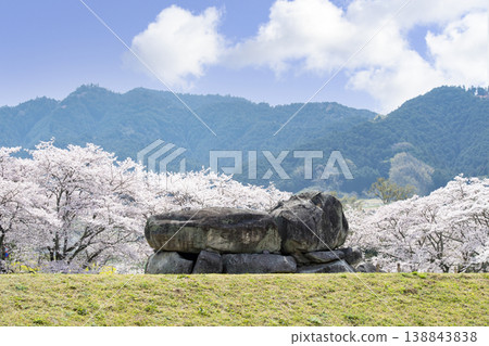 明日香的石武台古墓 明日香的石武台古墓 138843838