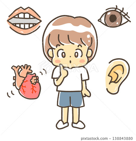 The mysteries of the human body (a slightly more realistic heart version) The mysteries of the human body (a slightly more realistic heart version) 138843880