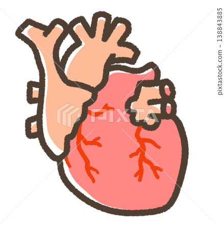 A slightly realistic illustration of a heart A slightly realistic illustration of a heart 138843885