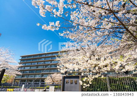 Ministry of Foreign Affairs: Cherry blossoms in full bloom Ministry of Foreign Affairs: Cherry blossoms in full bloom 138843943