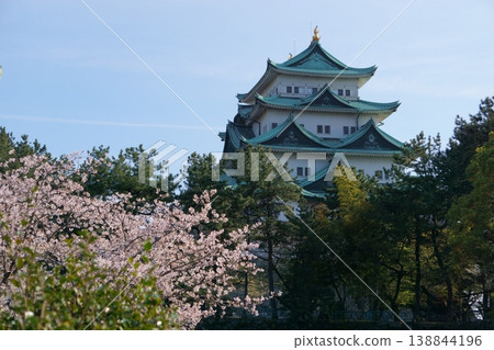 春天的櫻花與名古屋城 春天的櫻花與名古屋城 138844196