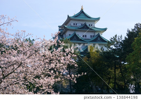 櫻花和名古屋城的天守閣 櫻花和名古屋城的天守閣 138844198