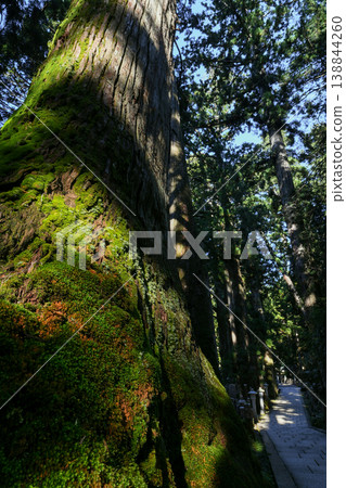 Koyasan Okuninin 138844260