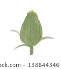 A watercolor-style PNG image of a dandelion bud in soft colors, depicting a spring wildflower. 138844346