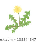Watercolor-style illustration of dandelions blooming in a spring field; a gentle-looking wild flower PNG image. 138844347