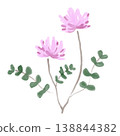 A watercolor-style illustration of gently blooming lotus flowers; a simple floral image evoking the feeling of a spring field. 138844382