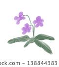 A watercolor-style illustration of gently blooming violets; a lovely wild flower image that evokes the feeling of spring. 138844383