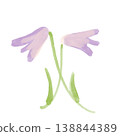 Simple plant illustration material with gentle purple flowers 138844389