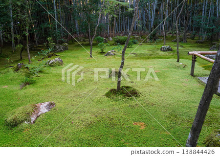 The moss-covered garden of Koto-in Temple The moss-covered garden of Koto-in Temple 138844426