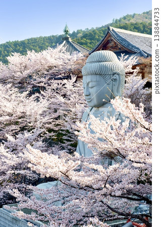 櫻花大佛 138844733