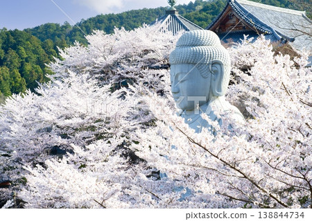 櫻花大佛 138844734