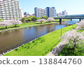 Cherry blossoms in Oshima Komatsugawa Park 138844760