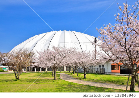 <Shimane Prefecture> Izumo Dome in Spring, April <Shimane Prefecture> Izumo Dome in Spring, April 138845946